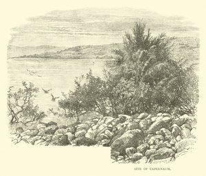 Stätte von Kapernaum von English School