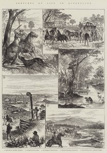 Skizzen aus dem Leben in Queensland von English School