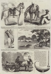 Skizzen des einheimischen Lebens in Indien von English School