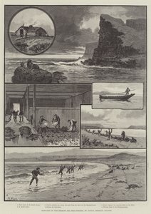 Skizzen der Beringsee-Robbenfischerei, St. Pauls, Pribylov-Inseln von English School