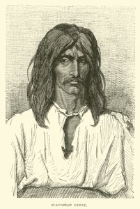 Slawonischer Zigeuner von English School