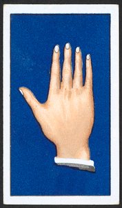 Glatte spitze Fingerhände