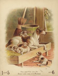 Spot und ihre fünf Welpen von English School
