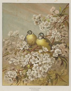 Frühling (Chromolitho) von English School