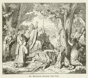 St. Bonifatius fällt die Eiche von English School