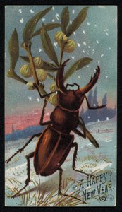 Hirschkäfer trägt Mistel in einer winterlichen Szene, Weihnachtsgrußkarte