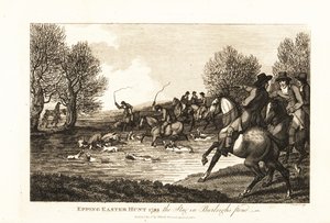 Hirschjäger und Hunde jagen ein Kälbchen im Epping Easter Hunt von English School