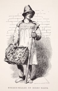 Straßenverkäufer von Vogelnestern, Illustration aus London Labour and London Poor von Henry Mayhew, veröffentlicht 1862 von English School