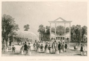 Surrey Zoologische Gärten, Kennington, London: das neue Orchester von English School