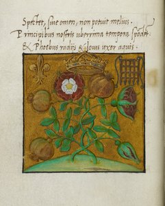 Symbole der Königlichkeit, Illustration für 