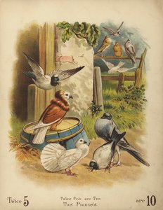 Zehn Tauben (Chromolithografie) von English School