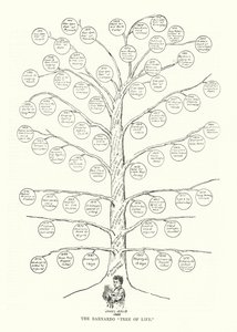 Der Barnardo „Baum des Lebens“ von English School