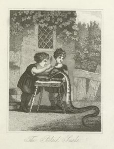 Die schwarze Schlange von English School