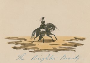 Die Brighton-Schönheit von English School