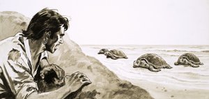 Die Schiffbrüchigen: Schrecken der Schildkröteninsel