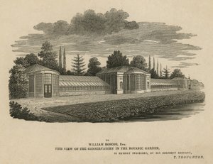 Das Konservatorium im Botanischen Garten, Kew, London von English School