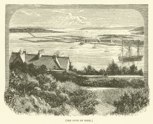 Die Bucht von Cork (Gravur)