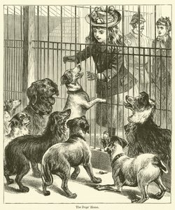 Das Hundeheim (Gravur)