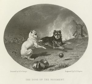 Die Hunde des Regiments von English School