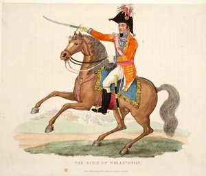 Der Herzog von Wellington, veröffentlicht von Richard Evans, graviert von Romney, Illustration aus An Historical Account of the Battle of Waterloo von William Mudford, 1816 von English School