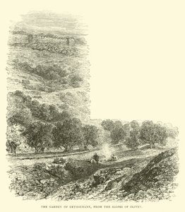 Der Garten Gethsemane, von den Hängen des Ölbergs aus von English School