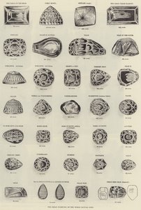 Die großen Diamanten der Welt (Stich) von English School