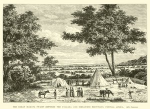 Der Große Makata-Sumpf zwischen den Usagara- und Simbaweni-Bergen, Zentralafrika