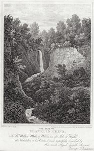 Der Kopf von Shanklin Chine von English School
