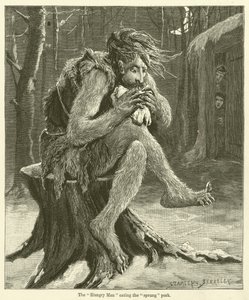 Der 