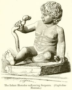 Der infantile Herkules, der Schlangen erstickt (Kapitolmuseum) von English School