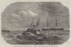 Der Schakal Tender und Boote, die den amerikanischen Postdampfer bei Roche