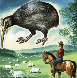 Der Kiwi, Emblem von Neuseeland von English School