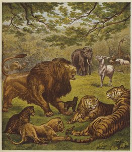 Der Empfang des Löwen (Farblithografie) von English School
