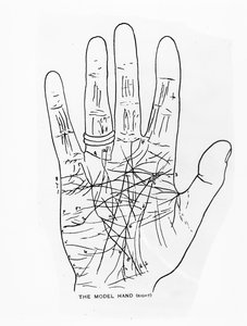 Das Modellhand (Rechts)