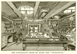 Das Zimmer des Naturforschers an Bord der Challenger von English School