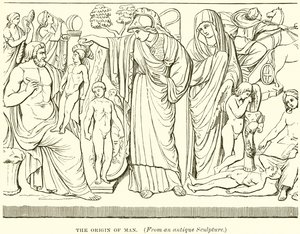 Der Ursprung des Menschen