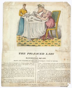 Die Schweinsgesichtige Dame von Manchester Square