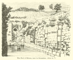 Der Teich von Siloah, nahe Jerusalem von English School