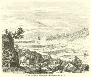 Die Teiche Salomos von English School