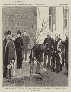 Der Prinz pflanzt einen Baum im Victoria-Krankenhaus zur Erinnerung an seinen Besuch von English School