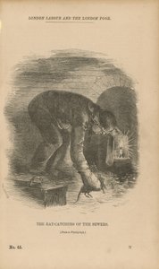 Die Rattenfänger der Abwasserkanäle von English School