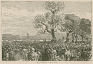 Die Reformdemonstration im Hyde Park, 6. Mai 1867 von English School