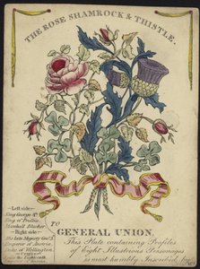 Die Rose, Shamrock und Distel zur allgemeinen Union (Farbstich)