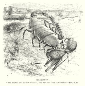 Der Skorpion (Gravur)
