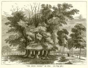 Die Sieben Schwestern im Jahr 1830 von English School
