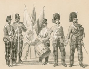 Die Zweiundsiebzigste (