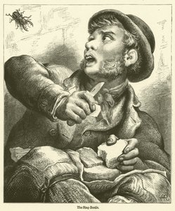 Der Hirschkäfer (Gravur) von English School