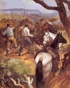 Die Geschichte Australiens: Der sanfte Tyrann von English School