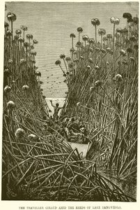 Der Reisende Giraud im Schilf des Bangweolo-Sees von English School