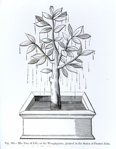 Der Baum des Lebens oder der Weidenbaum, gepflanzt in den Staaten von Priester Johannes, Illustration aus Wissenschaft und Literatur im Mittelalter und der Renaissance, geschrieben und graviert von Paul Lacroix, 1878